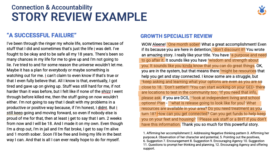 Story Review example.png